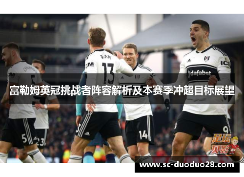 富勒姆英冠挑战者阵容解析及本赛季冲超目标展望