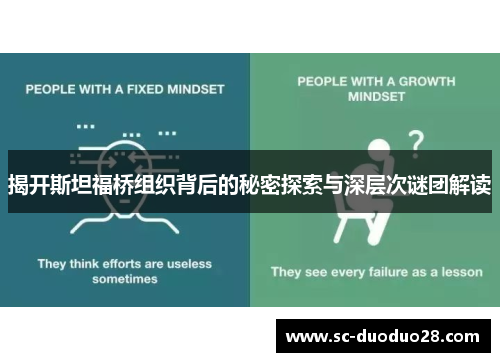 揭开斯坦福桥组织背后的秘密探索与深层次谜团解读