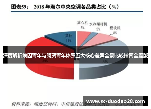 深度解析埃因青年与阿贾青年体系五大核心差异全景比较指南全篇版 深度解析埃因青年与阿贾青年体系五大核心差异全景比较指南全篇版