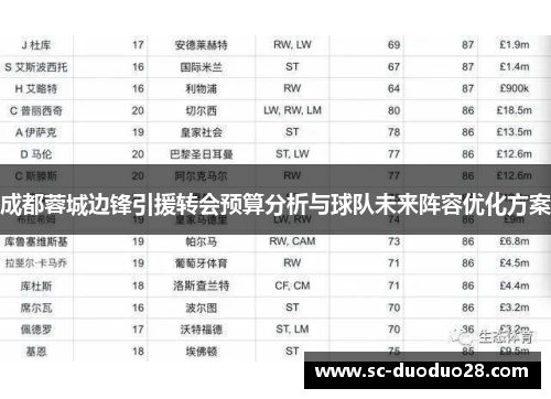 成都蓉城边锋引援转会预算分析与球队未来阵容优化方案