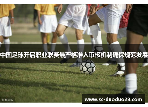 中国足球开启职业联赛最严格准入审核机制确保规范发展