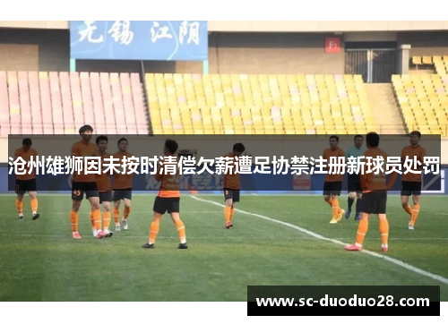 沧州雄狮因未按时清偿欠薪遭足协禁注册新球员处罚 沧州雄狮因未按时清偿欠薪遭足协禁注册新球员处罚
