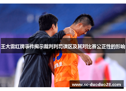 王大雷红牌事件揭示裁判判罚误区及其对比赛公正性的影响