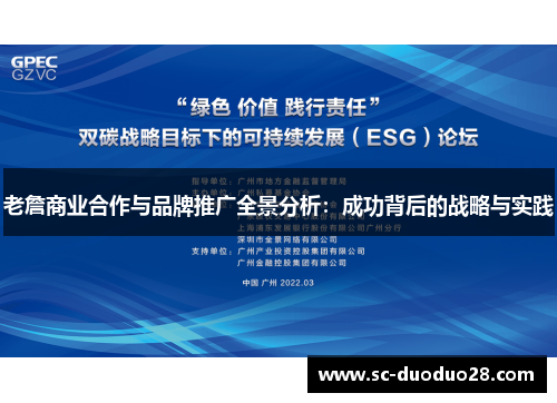 老詹商业合作与品牌推广全景分析：成功背后的战略与实践