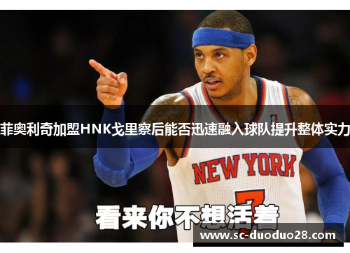 菲奥利奇加盟HNK戈里察后能否迅速融入球队提升整体实力
