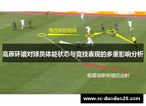 高原环境对球员体能状态与竞技表现的多重影响分析 高原环境对球员体能状态与竞技表现的多重影响分析